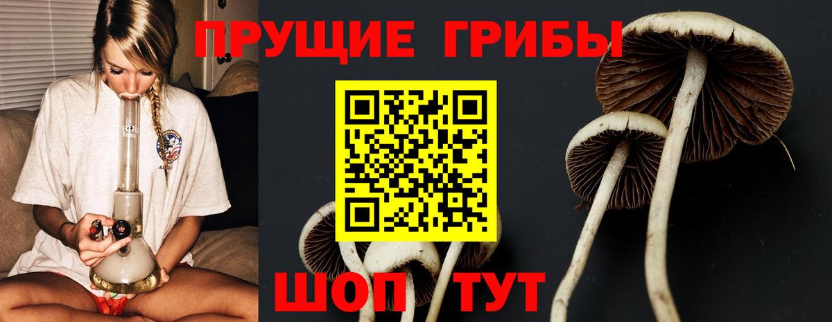 Галлюциногенные грибы MAGIC MUSHROOMS Таганрог